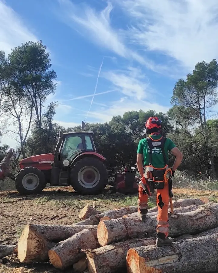 trabajos forestales barcelona