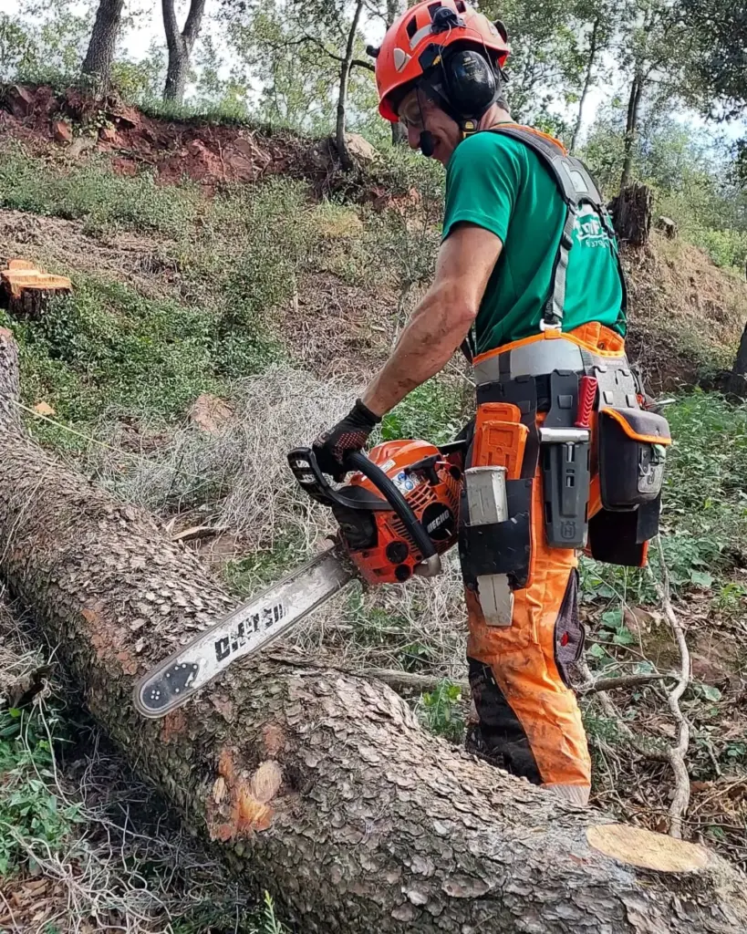 trabajos forestales valles oriental